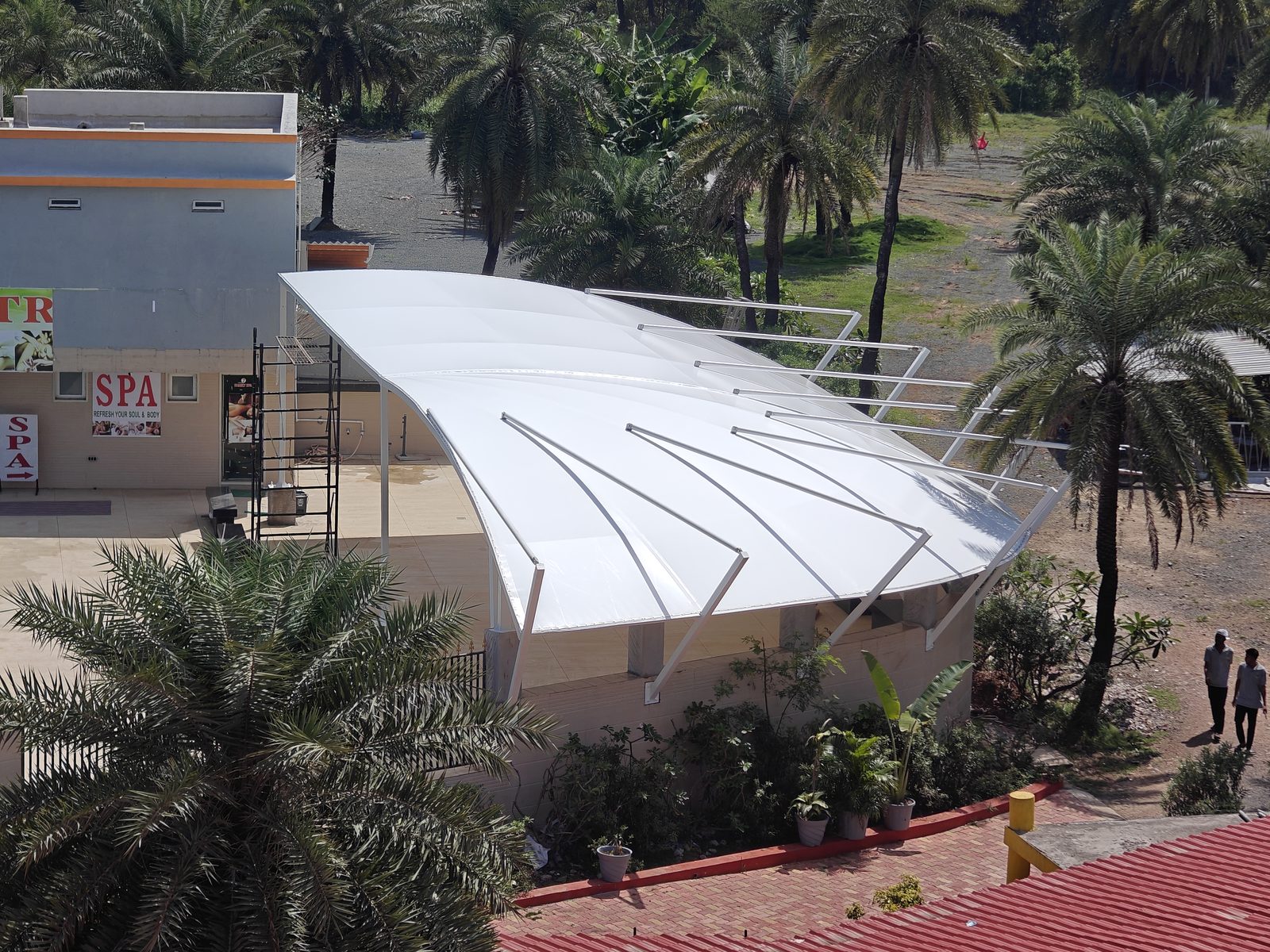 Parking canopy in a landscaped setting with palms