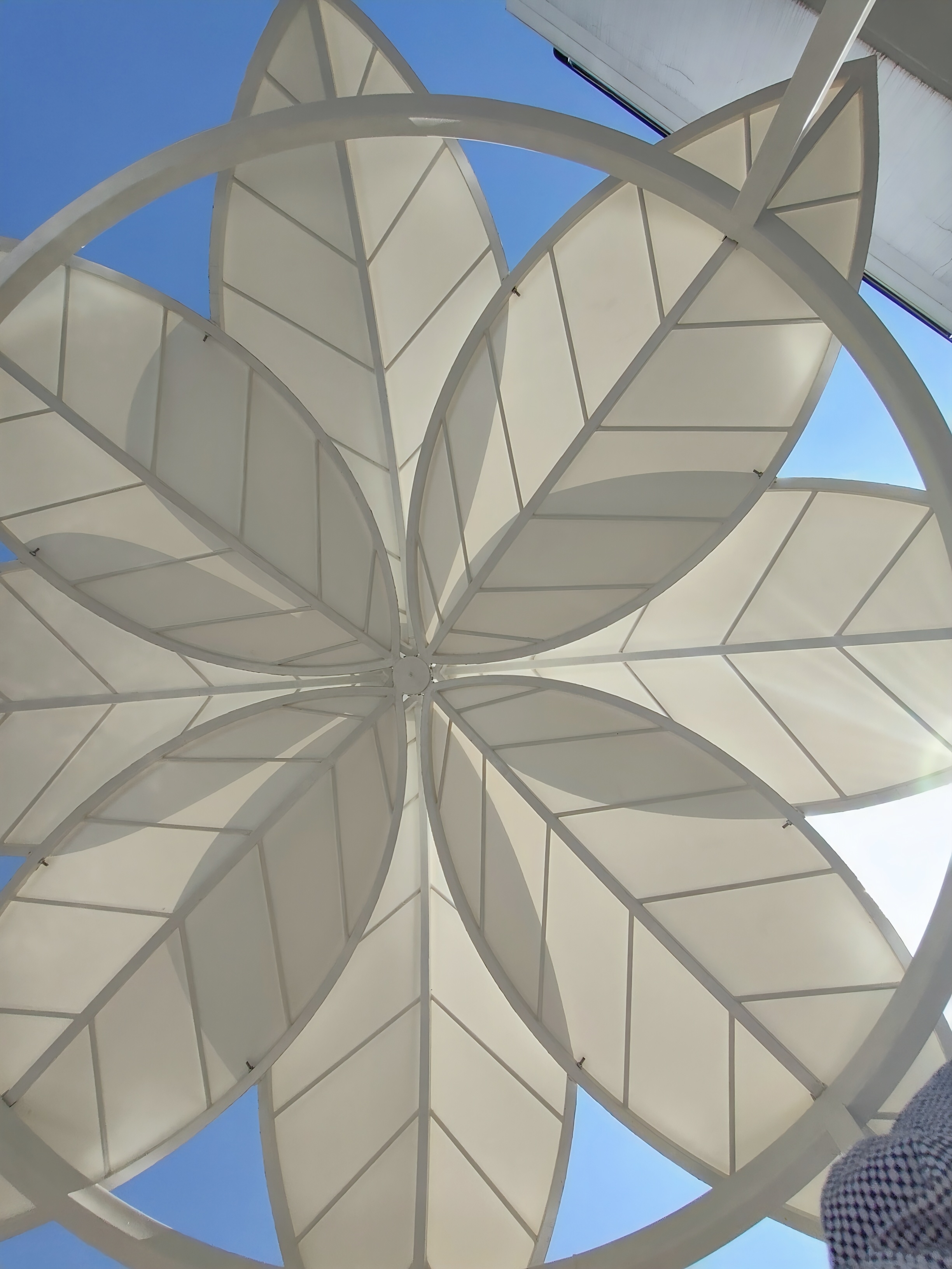 Multi-petal flower-shaped tensile canopy, view from below